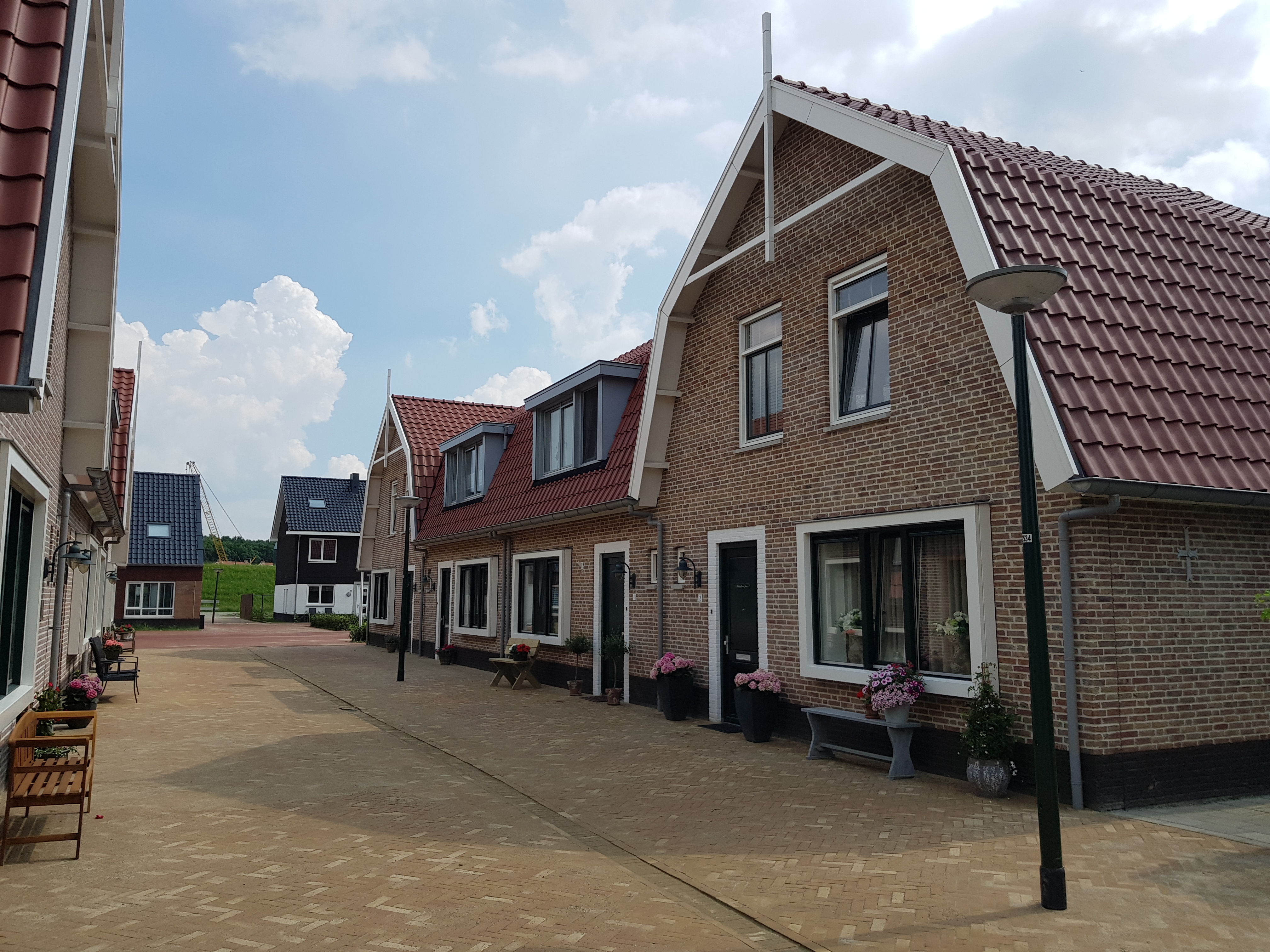 Vestetuin Tholen 155009